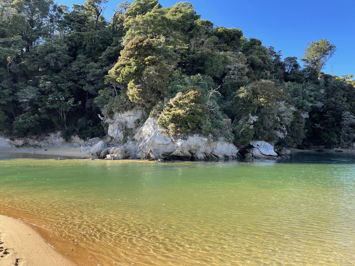 aquidity's tweet photo. Breaker Bay and Kaiteriteri #TasmanBay #Nelsonregion #Friday https://t.co/qyVQIsGpeA