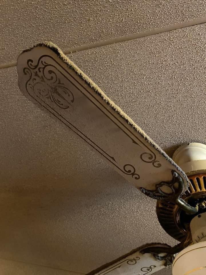 MsHustlee's tweet image. THIS WHY YALL SICK 😩‼️‼️‼️