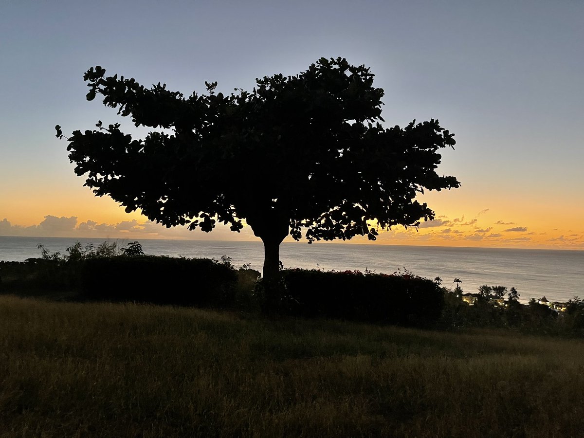 DocEyeLean's tweet image. 🇧🇧