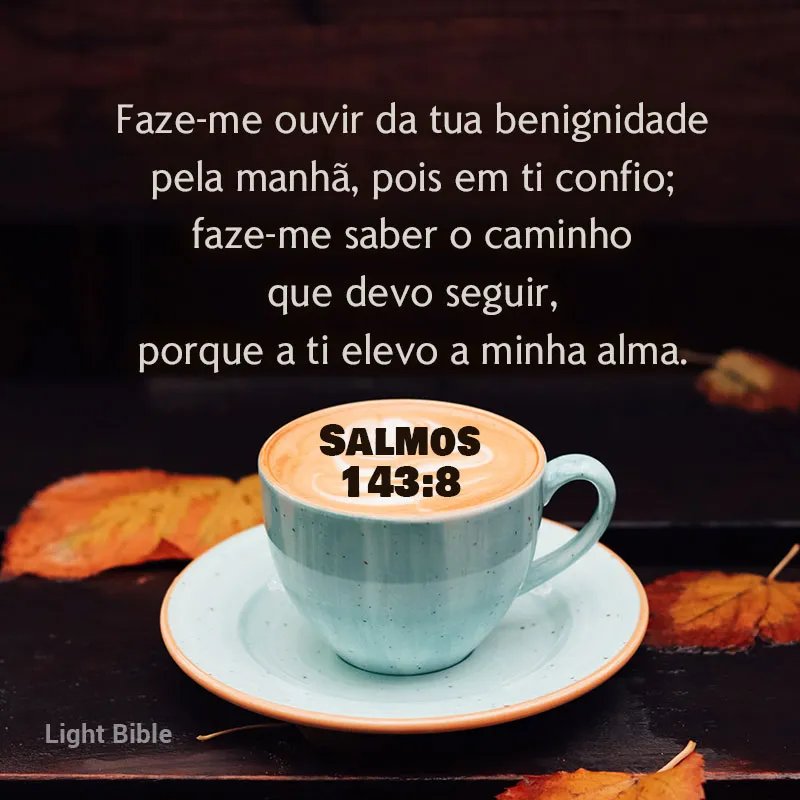 Junior Silva (@juniors70412412) on Twitter photo 
