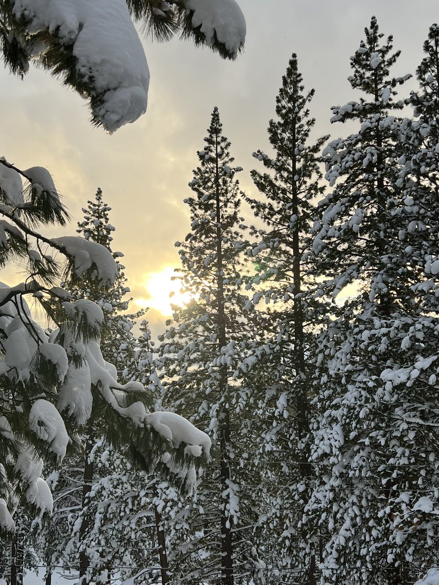 julieeliasmusic's tweet image. #tahome