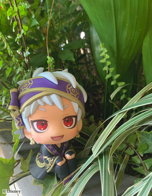 アニメイト特典付】『 #るかっぷ 『ディズニー ツイステッド