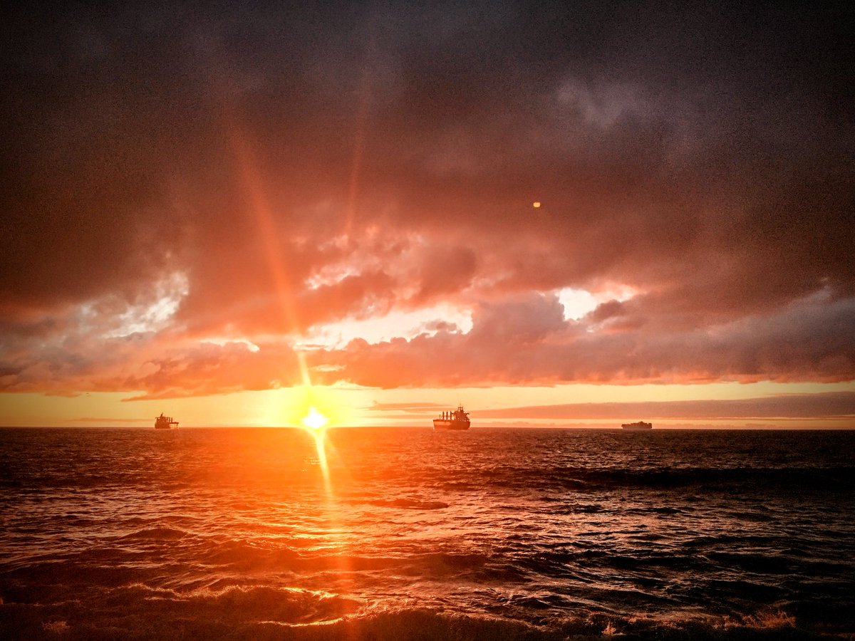 JotaContra tweet media