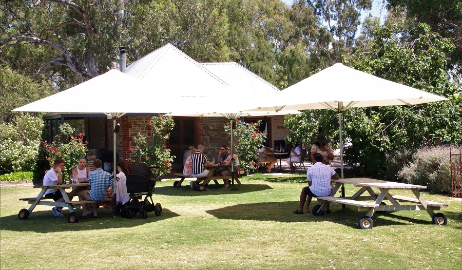 Stunning morning on our lawns, outdoor wine tastings are the way to go! #barossa #wine #winetasting #ownbackyard #adelaide