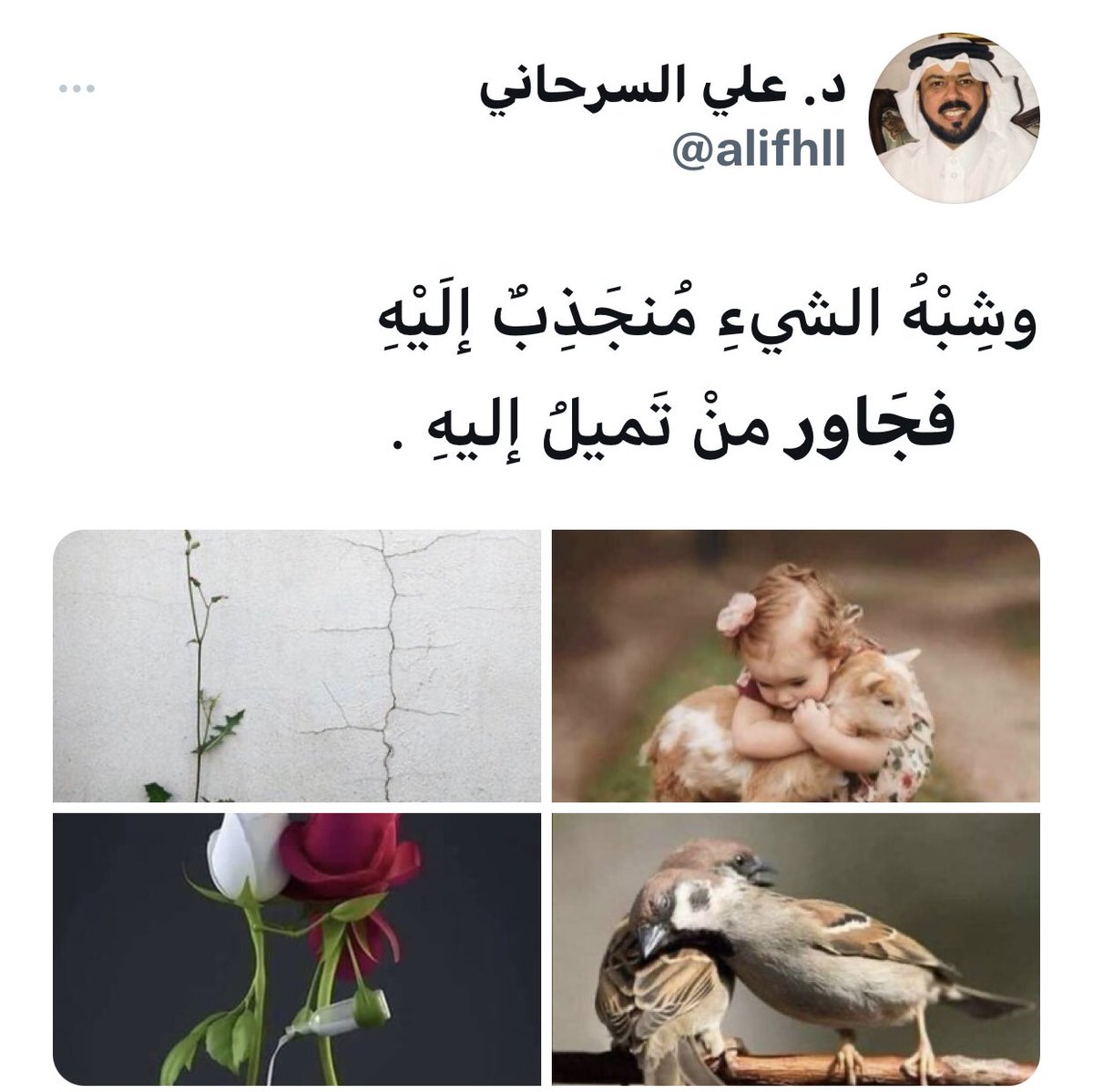 alifhll's tweet photo. 1-لم يستطع هذا الرجل مقاومة غواية الكتب فزاغ بصره اليها وطغى،إذ سها عما أسند إليه من عمل الضيافة،ومعلوم أن للكتب بريقاً يراه الفؤاد قبل العين وما كذب الفؤاد ما رأى،لأن الكتب تبث هالة تجذب إليها من تراه متصالحًا معها:(و) 
شبيه الشيء منجذبٌ إليه... فجَاور منْ تميلُ إليهِ .👈 https://t.co/IxnK4l7i1K