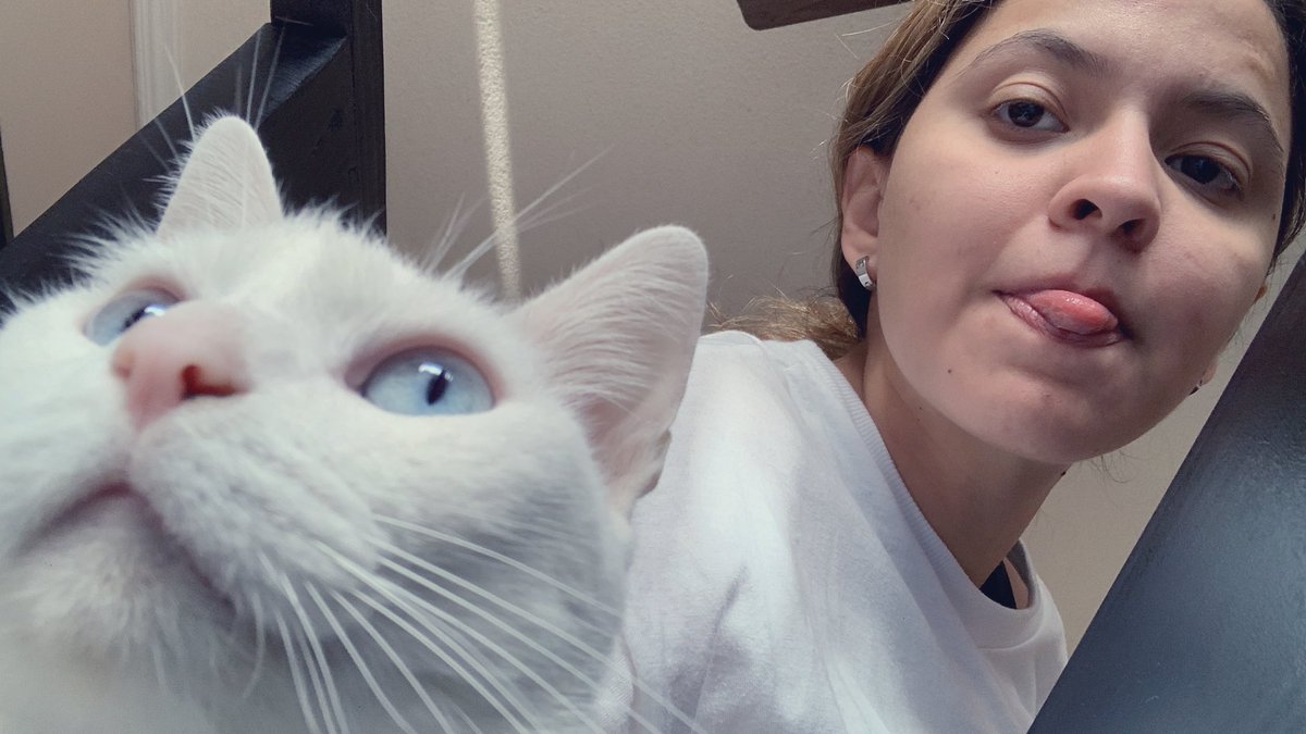 paupb27's tweet photo. Alch lo mejor de mi 2021 fue que mi gatita se curó y ya come solita (papilla pero come) 💖 https://t.co/gPP7YGG1ee