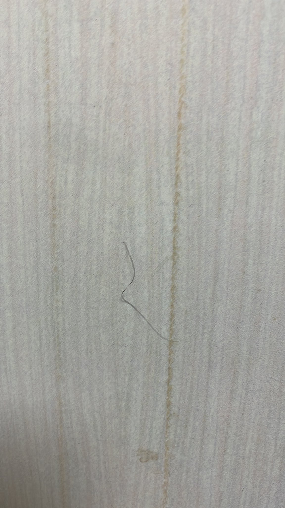 阴毛  / X