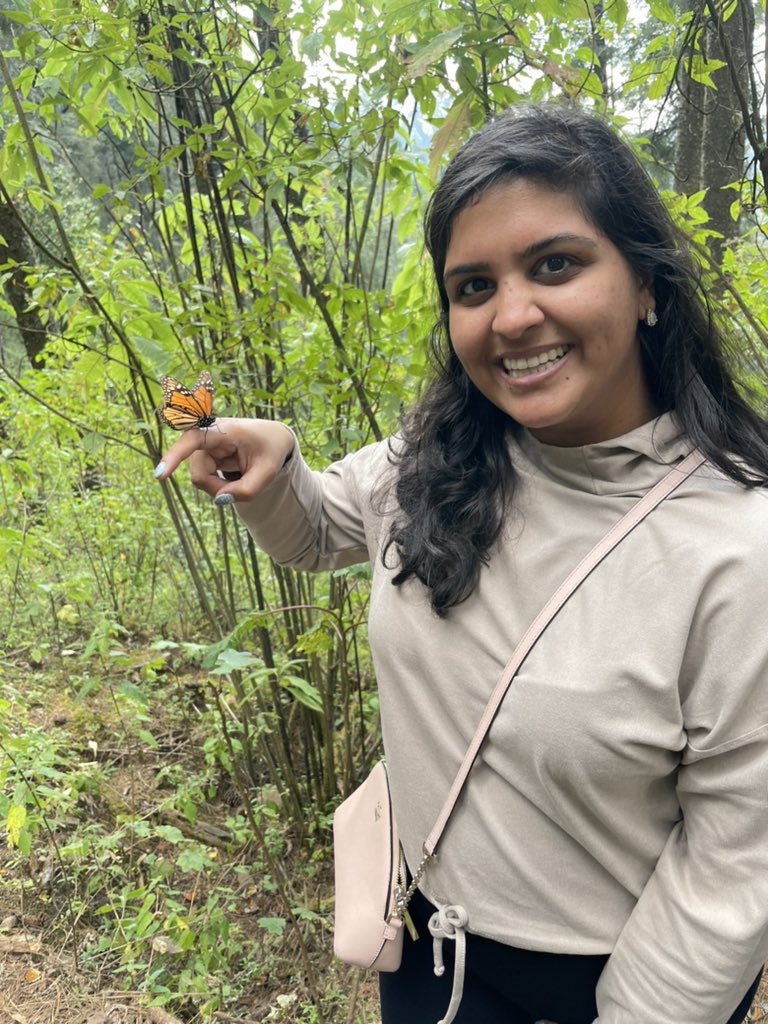 Take a step back and look at all the beautiful things you have 🦋