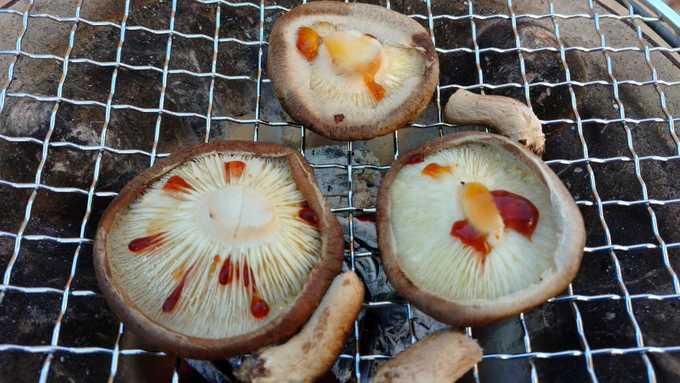 暇なんで椎茸焼く。 