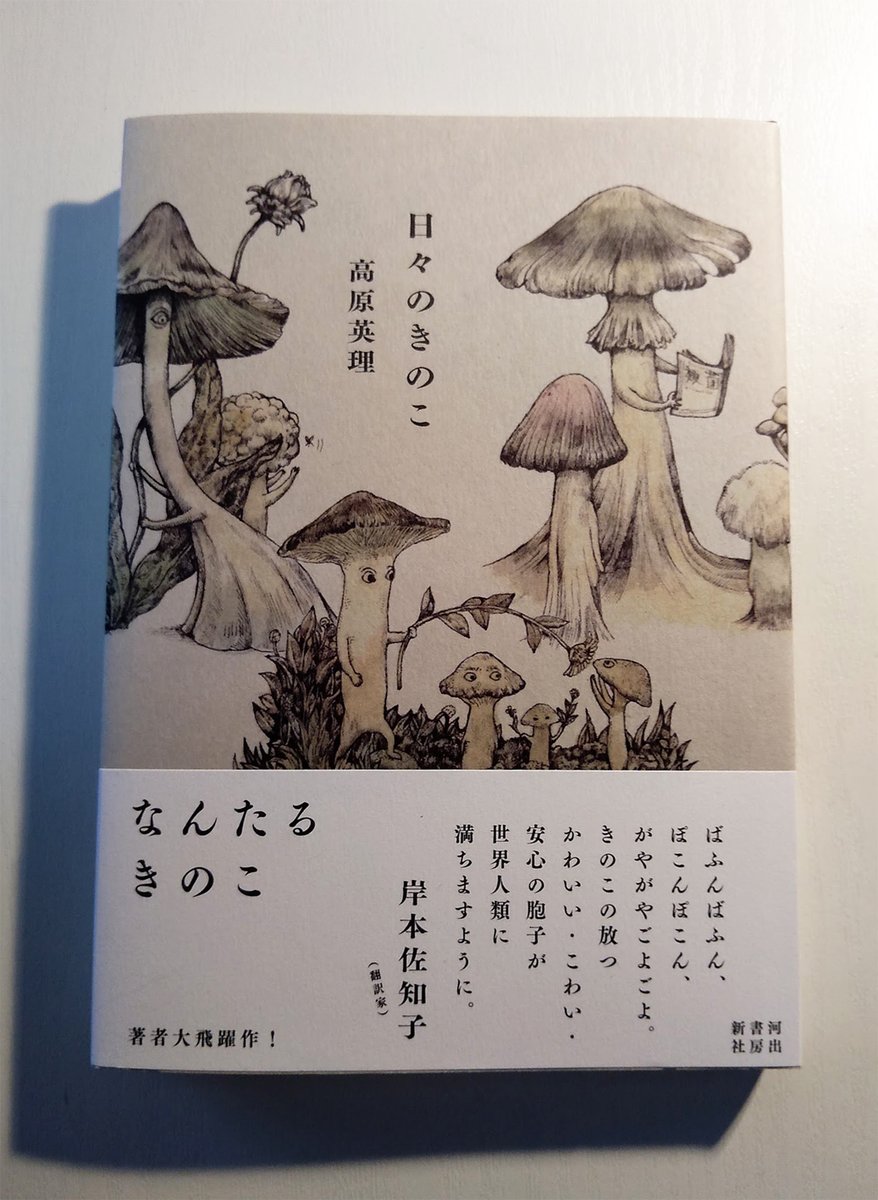 今年最後に書店へ。『日々のきのこ』、裏側もかわいい。 