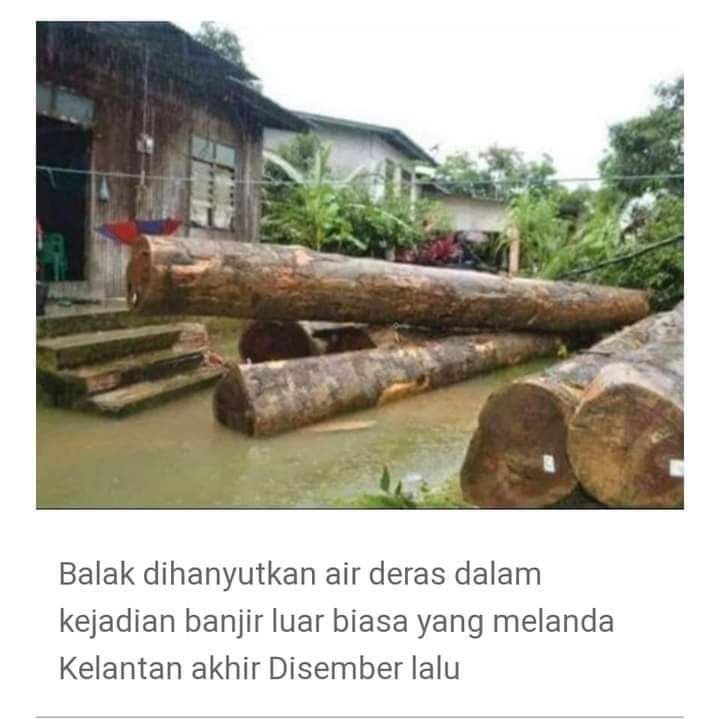 apanakdikato's tweet photo. Tiada pembalakan di kesan konon 🙄🤣 https://t.co/sinuuMWj5T