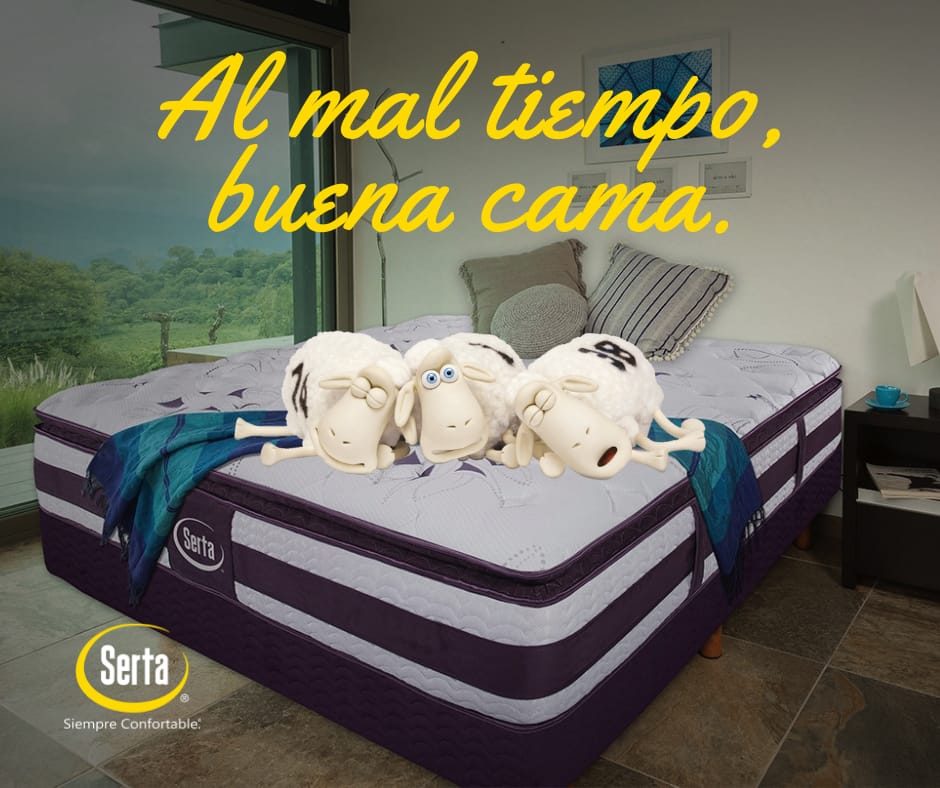 Colchones Serta México tweet media