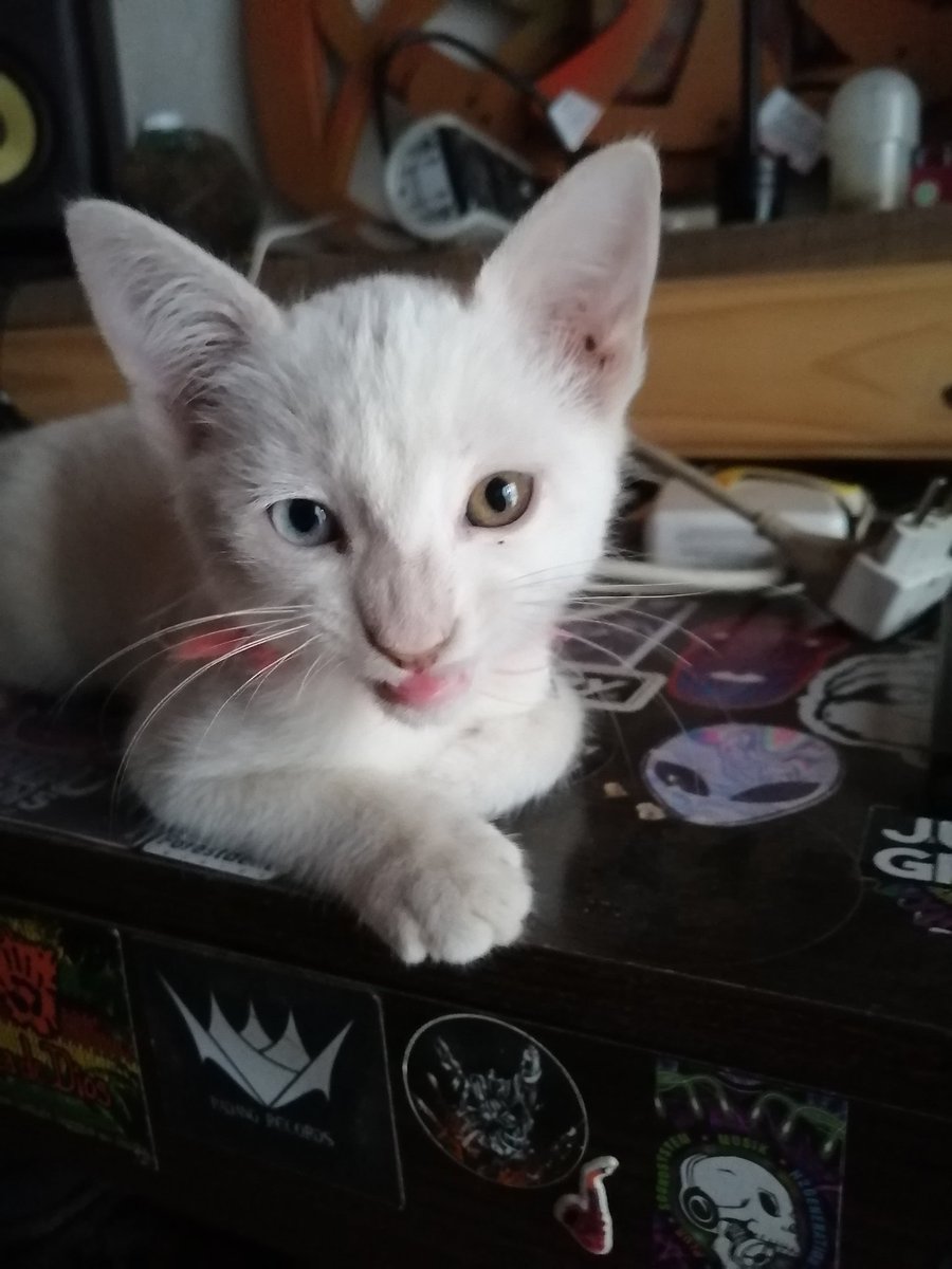 Ritalin_Child's tweet image. 👽