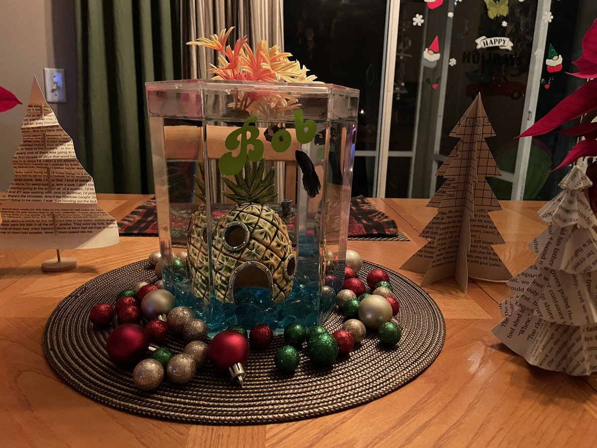 weese_kim's tweet photo. Bob the Library Fish has been enjoying being home for the holidays!! 🐟🍍@PIEpelicans #BobTheFish #LibraryLove #SeasonsOfWeese https://t.co/PulWQX9F9t