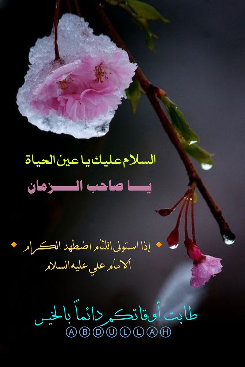 🔸🤍🔸🕊️
.

🌹طابت أوقاتكم دائماً بالخيـر🌹🕊️
. 
🔸إلهي..! طموح الآمال قد خابت إلا لديك....🌼
ومعاكف الهمم قد تعطلت إلا عليك..🌼 ومذاهب العقول قد سمت إلا إليك..🌼
... فأنت الرجاء وإليك الملتجأ يا أكرم مقصود ... 🌼يـا أرحم الراحميـن ✨
🔹اللهم صل على محمد وال محمد وعَجّل فَرَجهم🕊️
