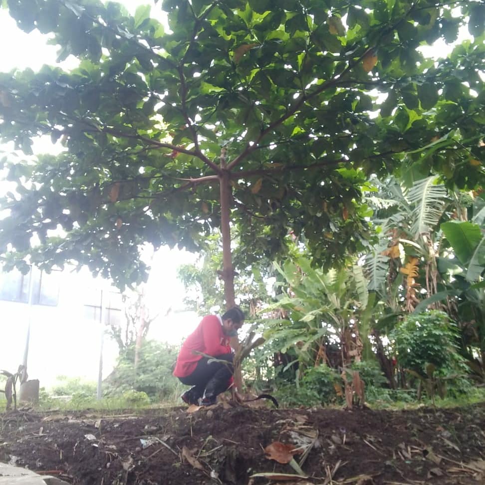 Korsda_Bwi's tweet photo. Membersihkan sampah dan saluran PA Dukoan juru wilayah Kalipuro. Cc @PengairanBwi @p50_guntur https://t.co/6k2tQbCBg8