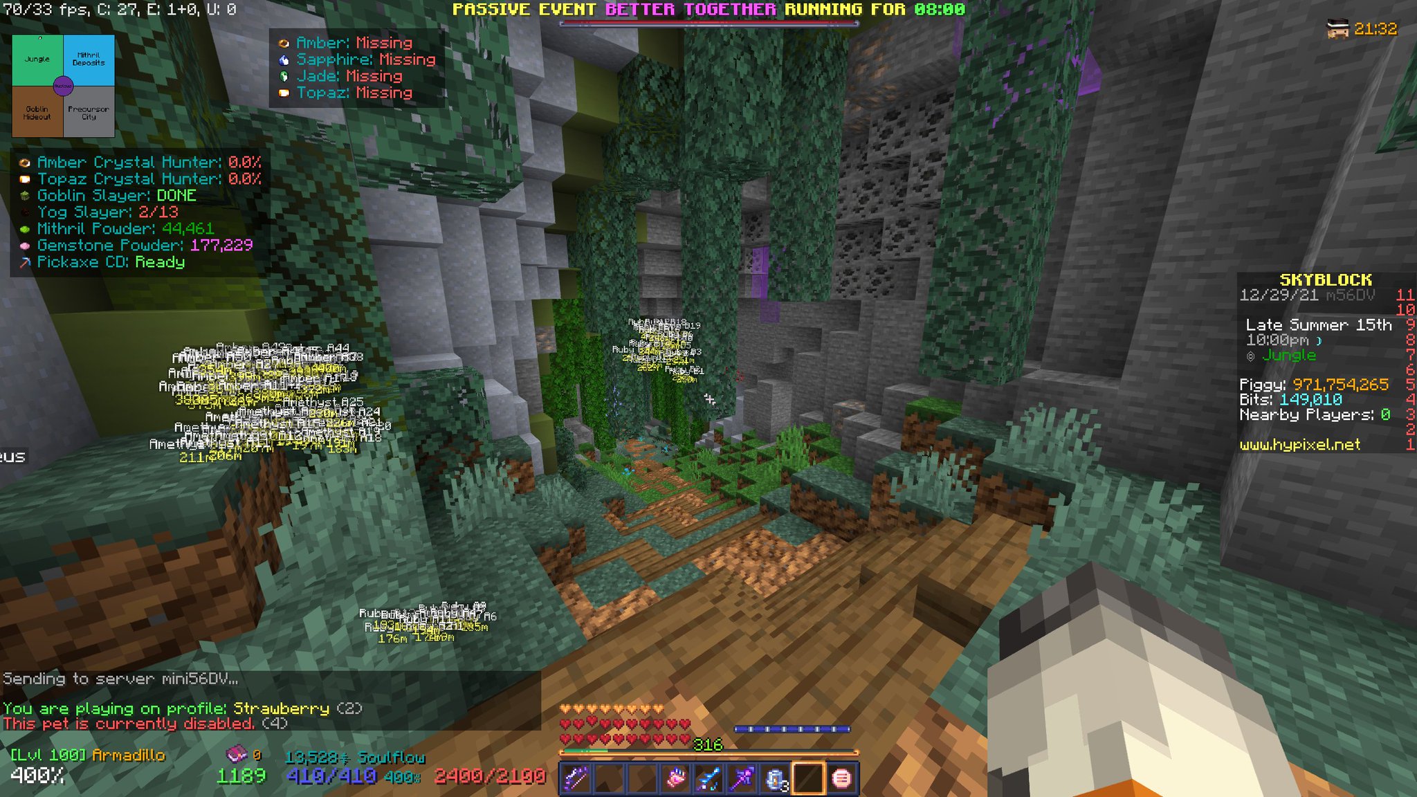 Hypixel SkyBlock News on Twitter "Armadillo Pet is disabled https//t