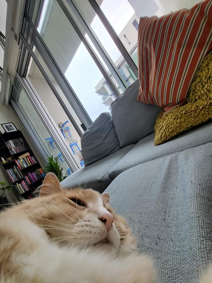 bastionsworld's tweet photo. Dazed and confused... what even is life rn? Hi. I don't even remember me. What day is it? https://t.co/VqWcZWYa9H