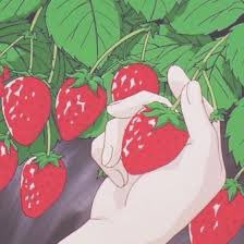 red 🍒🫀👠🍓🩸