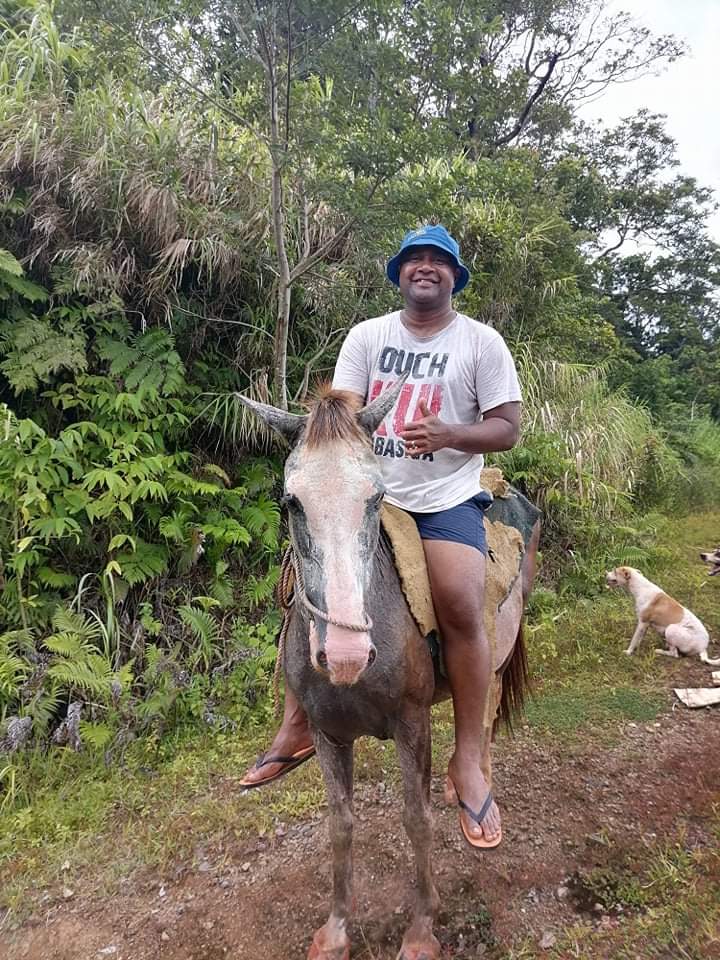TuPena5's tweet photo. Farm visit https://t.co/STfMdjtmPH