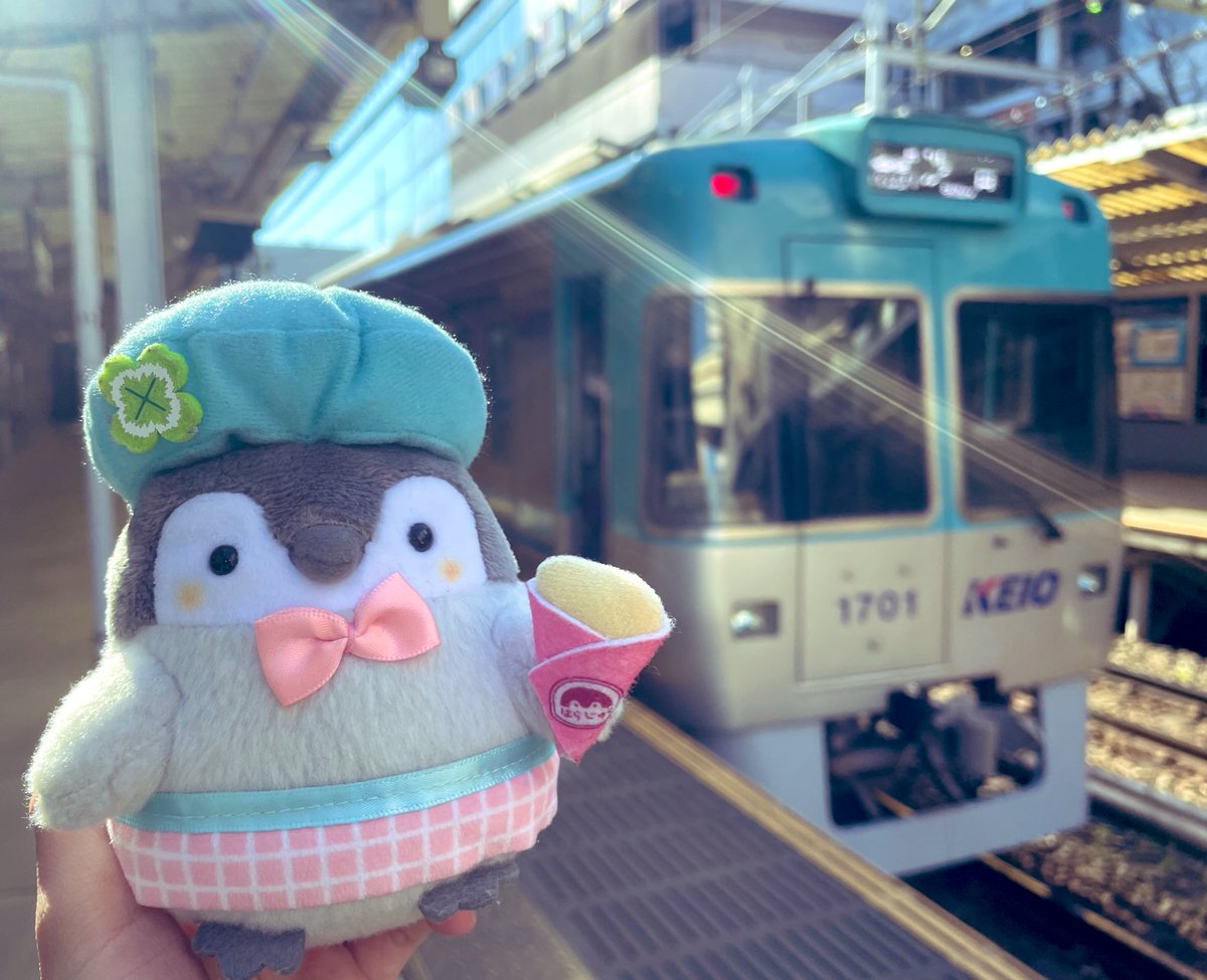 kiminotokoro's tweet photo. 〜きょう12/30 井の頭線ダイヤ情報〜
01: #1775F 02: #1760F 03: #1762F
04: #1759F 05: #1781F 06: #1772F
07: #1780F 08: #1753F 09: #1756F
10: #1773F 11: #1782F 12: #1783F
13: #1751F 14: #1777F
15: #1784F 16: #1754F (AM富丘入庫△)
虹色 #1779F も終日休
アリス×濃青コラボだけが実現せず.. https://t.co/ohmWGXUg3a