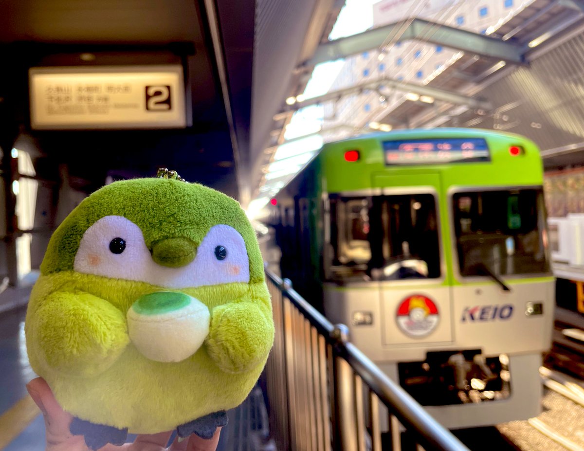 kiminotokoro's tweet photo. 〜きょう12/30 井の頭線ダイヤ情報〜
01: #1775F 02: #1760F 03: #1762F
04: #1759F 05: #1781F 06: #1772F
07: #1780F 08: #1753F 09: #1756F
10: #1773F 11: #1782F 12: #1783F
13: #1751F 14: #1777F
15: #1784F 16: #1754F (AM富丘入庫△)
虹色 #1779F も終日休
アリス×濃青コラボだけが実現せず.. https://t.co/ohmWGXUg3a