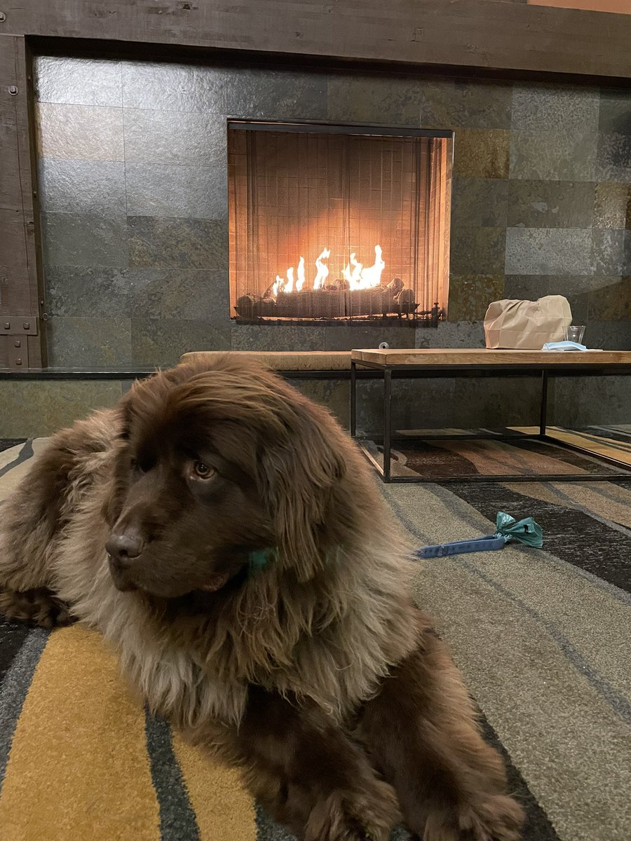 Katherine Roberts (@robertsyoga) on Twitter photo Making my way back home to Arizona for MLB. Love <a href="/ValleyRiverInn/">Valley River Inn</a> in Eugene. Hank and I love the cozy atmosphere and super dog friendly staff. Making my way back home to Arizona for MLB. Love <a href="/ValleyRiverInn/">Valley River Inn</a> in Eugene. Hank and I love the cozy atmosphere and super dog friendly staff.