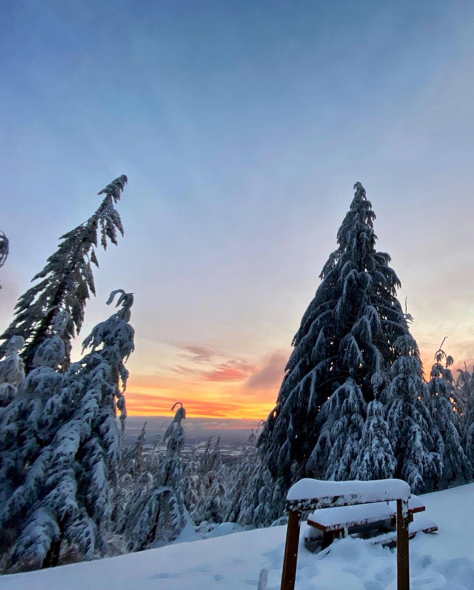 emthompson5's tweet photo. One of 2021’s last sunsets in our neighborhood’s winter wonderland ❄️ ☀️ 🌲 #Bye2021 #Hello2022 https://t.co/J8ZLqtLssb