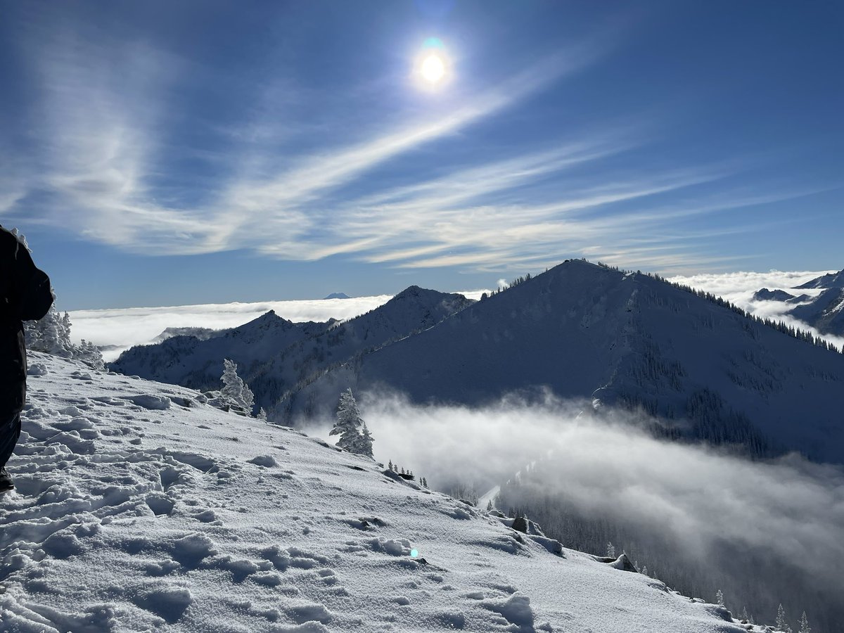 Caty Reeves tweet media