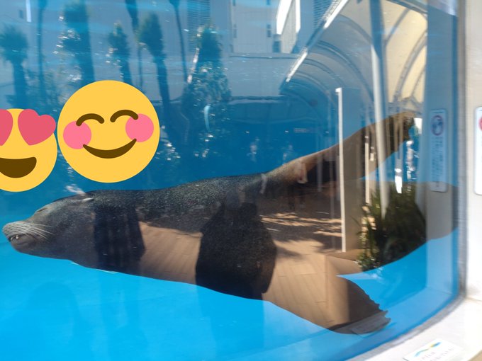 池袋サンシャイン水族館のtwitterイラスト検索結果