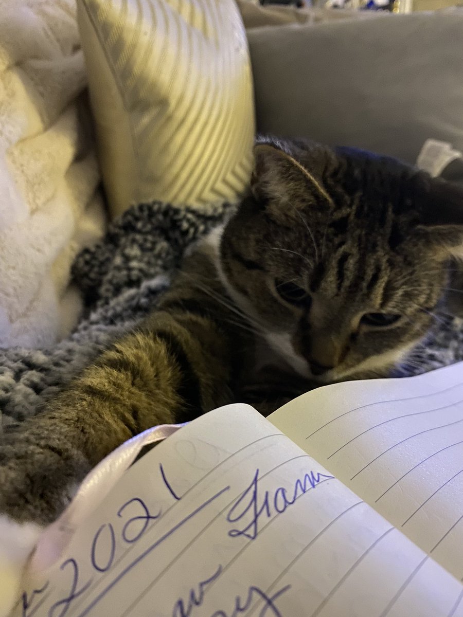 The_MixedCouple's tweet photo. Writing buddy 🥰 🖊 #CatsOfTwitter #cats #CatsofChristmas #CatLove #catlover https://t.co/RtxJUPzj3e