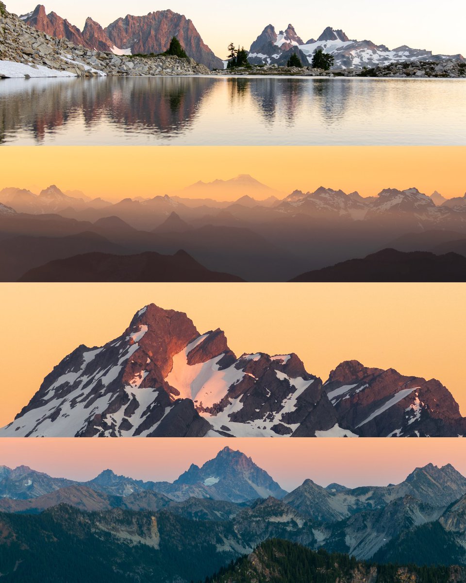 ShonPurdy's tweet image. golden hour ☀️