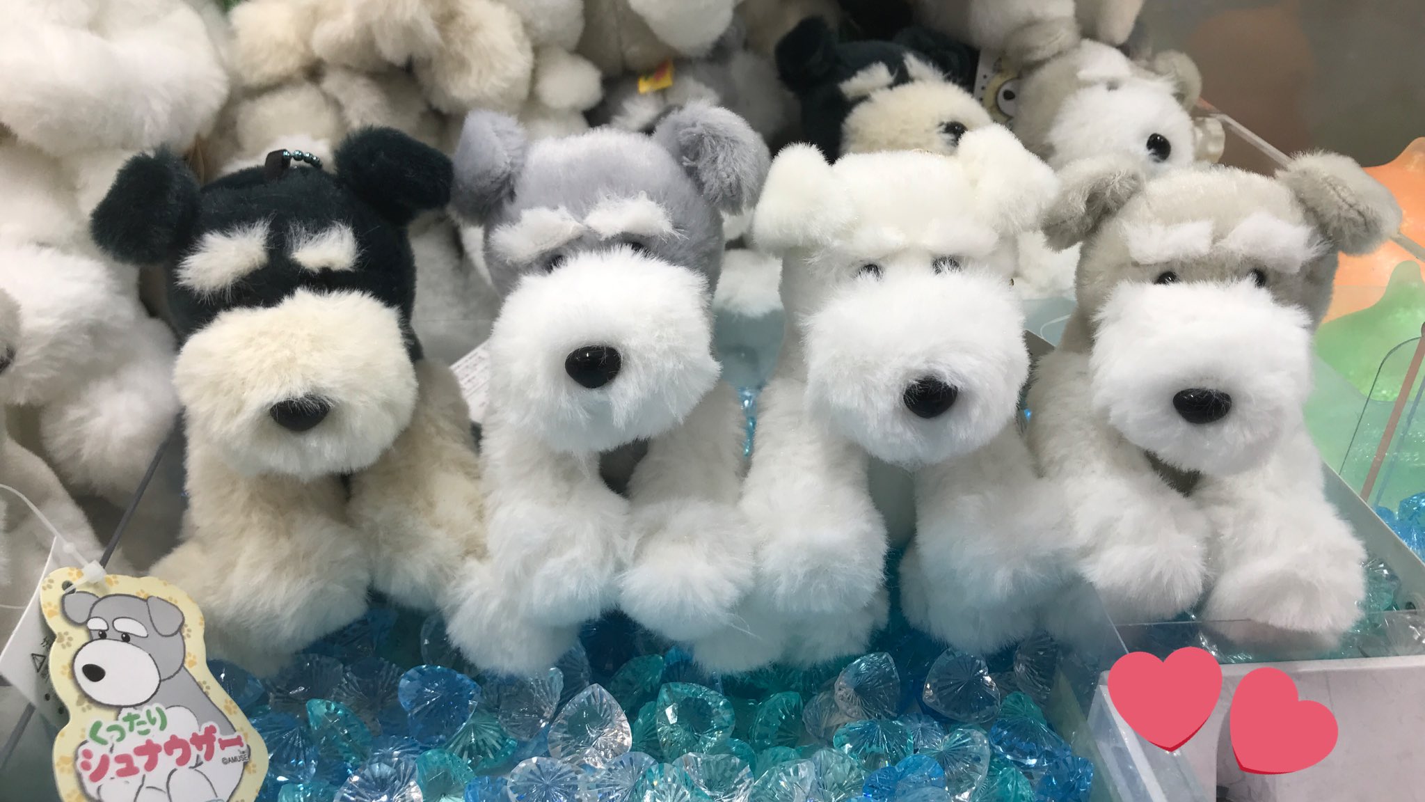 くったりシュナウザー ぬいぐるみ 8匹セット