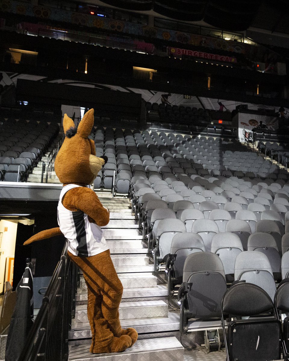 SpursCoyote's tweet photo. I really should start reading my emails… https://t.co/jFjnwPFffc