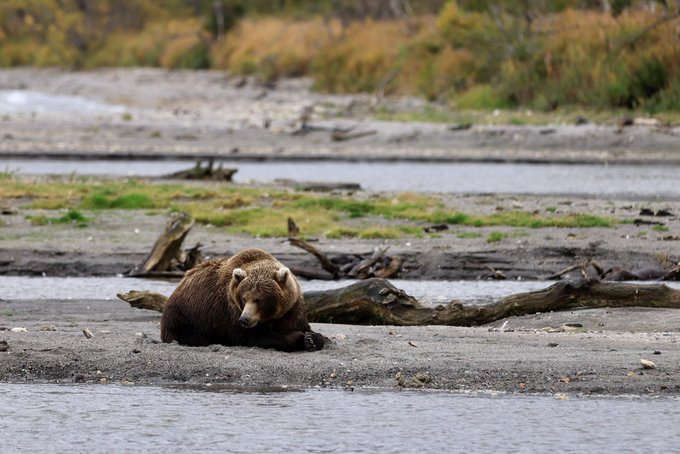 If you don&rsquo;t know how to spend your Christmas 🎄 holidays travel with me and watch my YouTube video from<a href="/tag/nude"class="tags"><span>#nude</span></a><a href="/tag/nudist"class="tags"><span>#nudist</span></a><a href="/tag/naturist"class="tags"><span>#naturist</span></a>