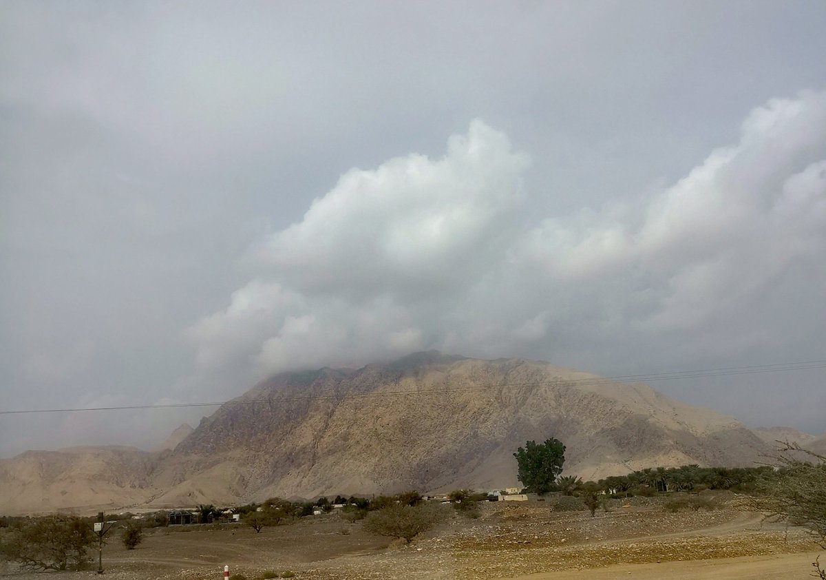 الغافات #اخدود_العزم