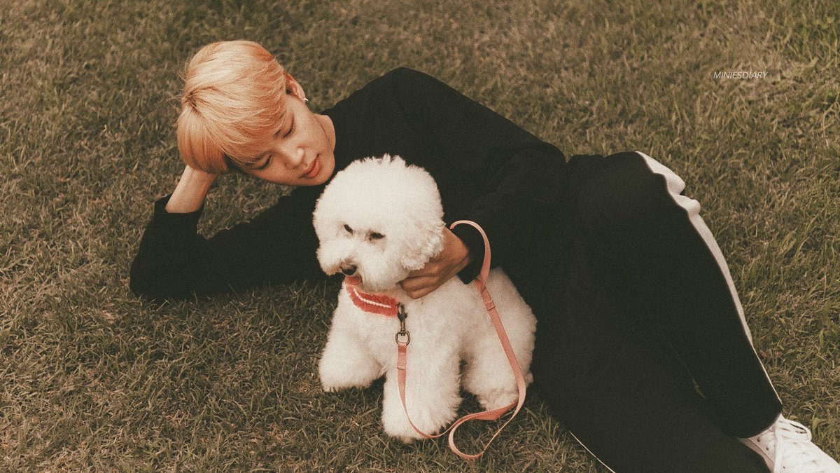 miniesdiary's tweet photo. jimin, through the eyes of vante 📸 https://t.co/McrUk4VNss