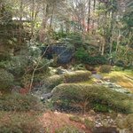 ツイートに含まれる画像