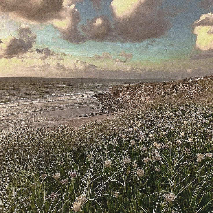 sumisinagtala's tweet photo. SUMMER IN AUGUST ; from Folklore Trilogy Series.

╰► A #markyuck au where Rio Augustine got carried away by his feelings towards James and created an unexpected decision yet, unforgettable memories in that summer. Is this a complicated love, or not? https://t.co/pm24i5YNp2