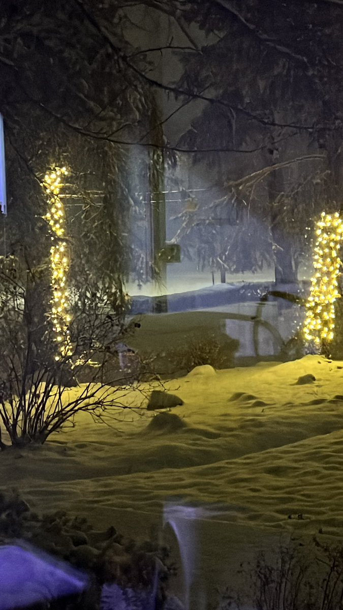 I will think more about how to move forward in love tomorrow. Tonight I will sit and watch the snow fall in the street light outside and feel the quiet peace this night brings. Sweet dreams.