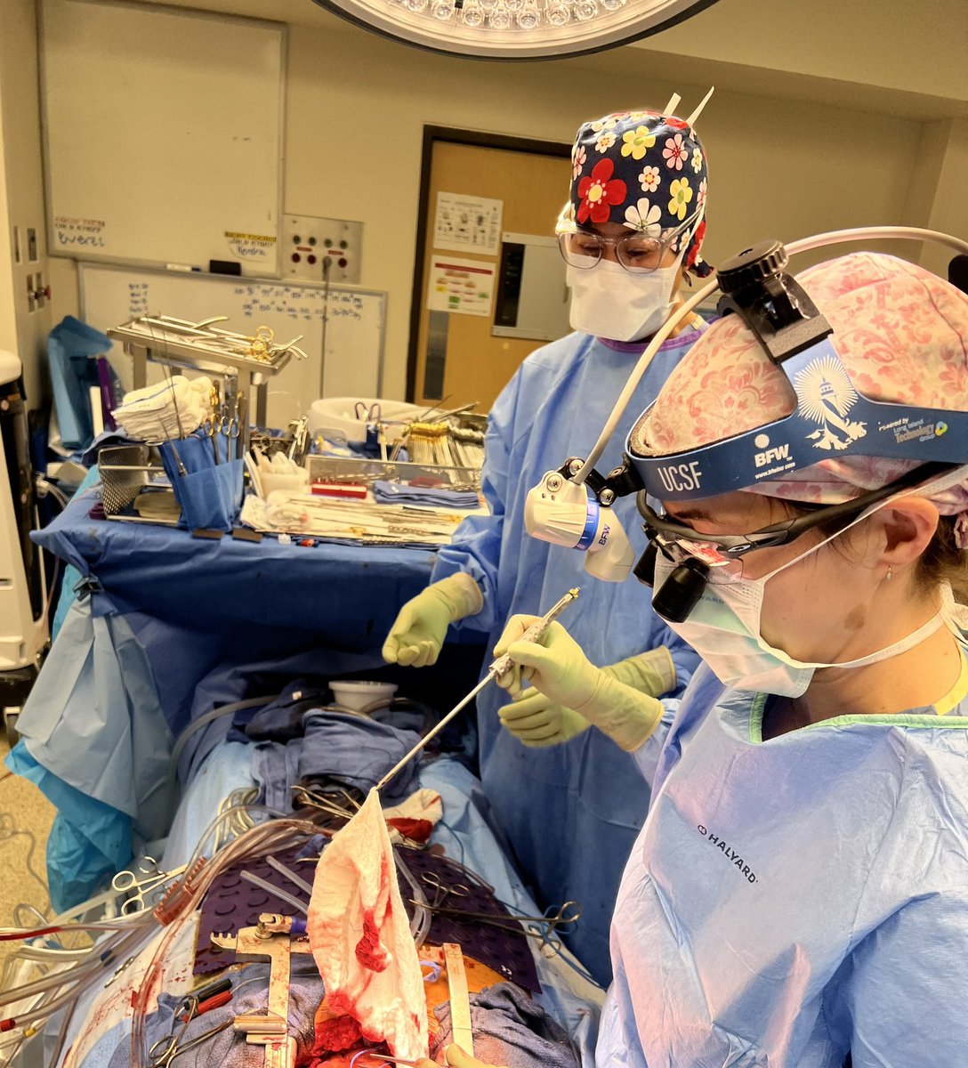 Tom C. Nguyen, MD tweet media