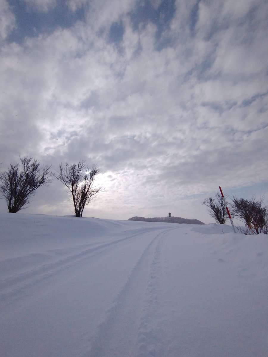 SetanaMan's tweet photo. Go go go... the destination is there... 

Setana, Hokkaido, Japan

ここを上れば、目的地はすぐそこさ。

北海道せたな町

#japan #travel #旅行
#hokkaido #北海道
#NaturePhotography https://t.co/2kHsTnbYbh