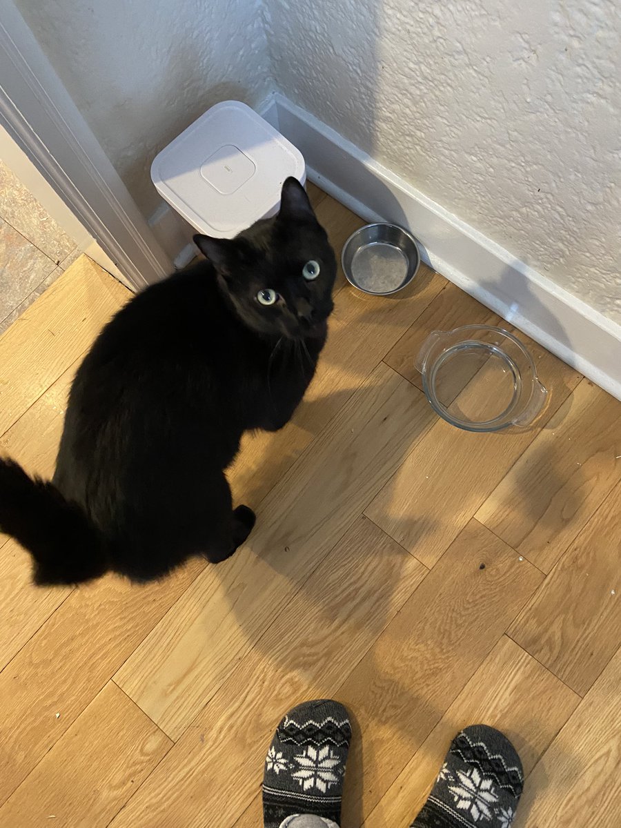 Annie Reneau tweet media