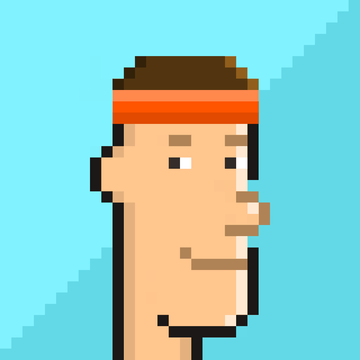 PingoPunks tweet media