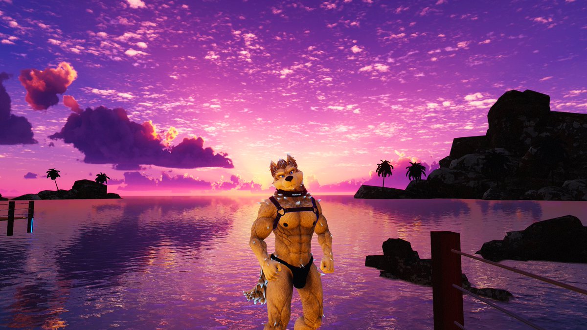 WolfBandit84's tweet photo. Howls at the sunset. Woof #wolfvr #vrwolf #vrfurry #vrchat https://t.co/aAWfyzN2Y6