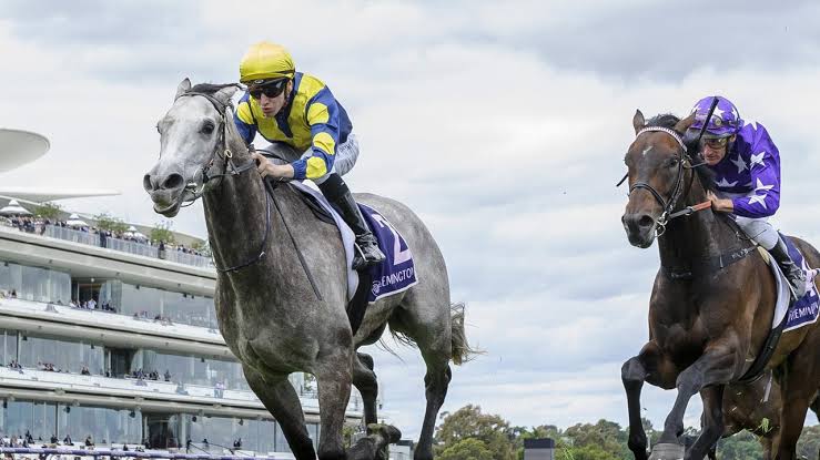RSN927's tweet photo. β° JOIN @m_felgate LIVE from 8.30am for a big NYE edition of #RacingPulse
π@eustacedj
π@BallymoreStabls
πPatrick Payne
πRob Blacker
Then @TheSharkTweet for the #FridayFormFocus https://t.co/U7nM8PL1OR