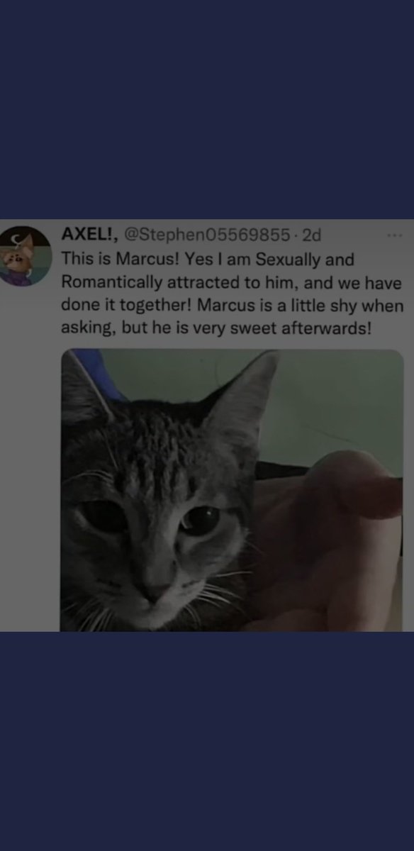 Froggy_Ribbitz's tweet photo. @Stephen05569855 You are a nasty person that is a  cat something that's supposed to be a friend he has the mindset of child, he cant even fucking speak that cat isn't asking to do anything he just wants affection, that cats eyes are dilated he does not love you hes scared of you! https://t.co/p9koqvd8Mx