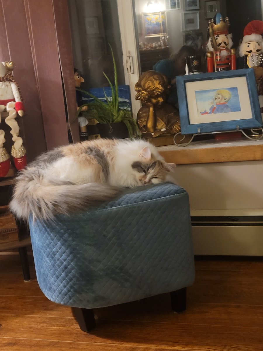 CoinSeer's tweet image. 