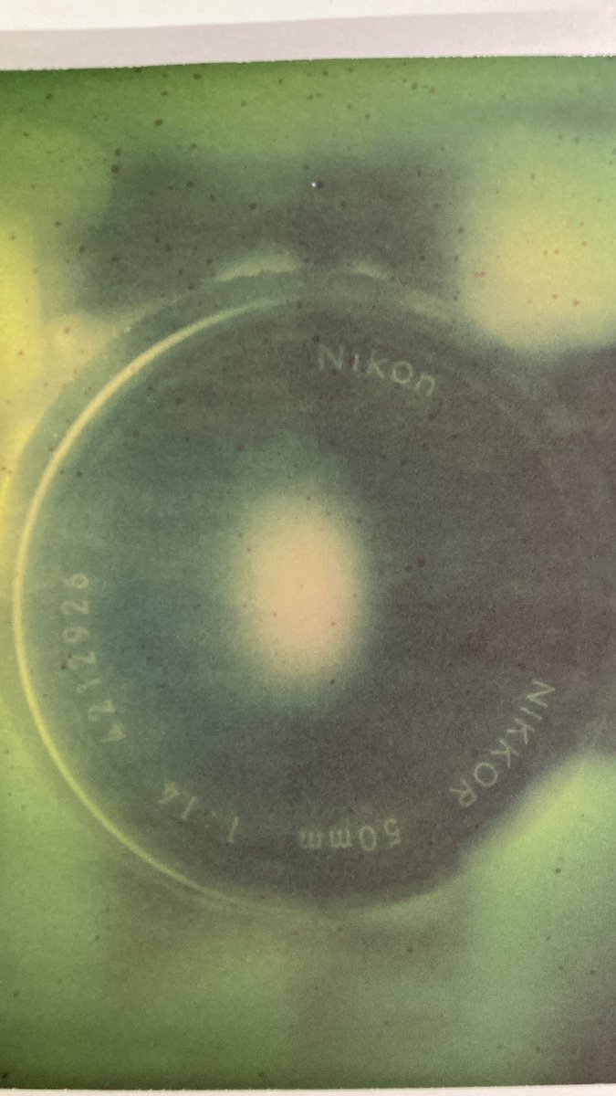 Kumagaii_seiji's tweet photo. 写真
#fp100 https://t.co/UWhboKv3Xk
