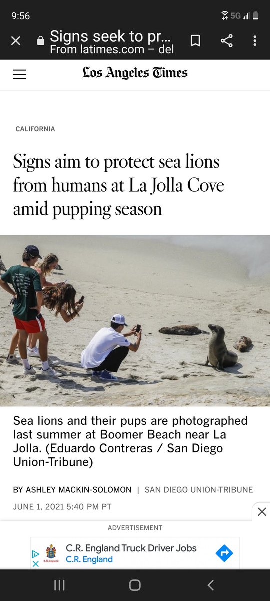 iseablu16's tweet photo. @fox5sandiego As a tourist I found this quite disturbing,  these folks were too close for comfort on my recent trip to La Jolla. https://t.co/oiVSEWveaP
